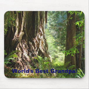 Mouspads Redwood Trees Mousepad