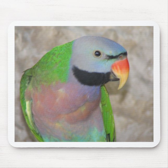 Moustached Parakeet Mousepad (Vorne)