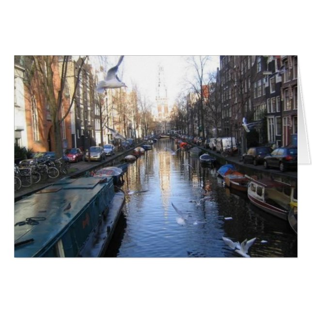 Möven (Vorderseite (Horizontal))