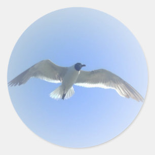 Möven-im Flug Aufkleber 2