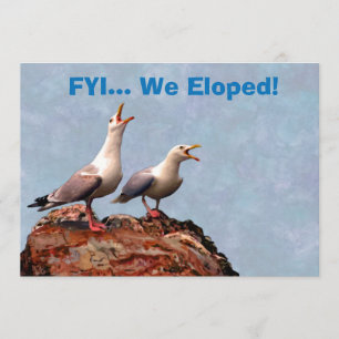 Möven-Mitteilung Eloped wir Ankündigung