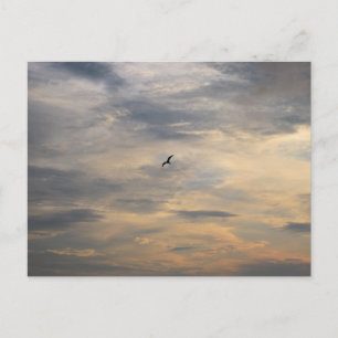 Möwe am Dusk Beach Vogel Fotografie Postkarte