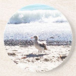 Möwe am Ozean am Strand Bild Untersetzer