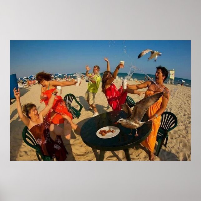 Möwe am Strand - Strandräuber Poster (Vorne)