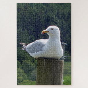 Möwe auf einem Zaunpfosten sitzend Küsten Vogel Puzzle