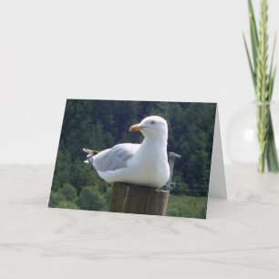 Möwe auf Garten-Zaunpfosten Charmante Vogelkunst Karte
