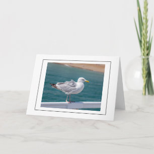 Möwe auf Geländer Grußkarte Karte