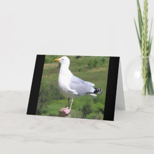 Möwe auf Pfosten mit individuellem Grußtext Karte