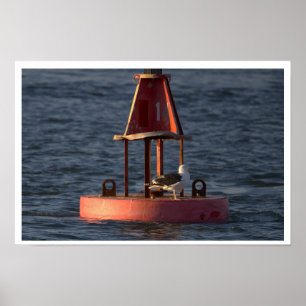 Möwe auf Tonnenposter Poster