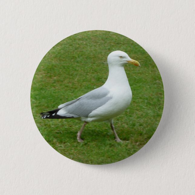 Möwe beim Spaziergang im Park Button (Vorderseite)