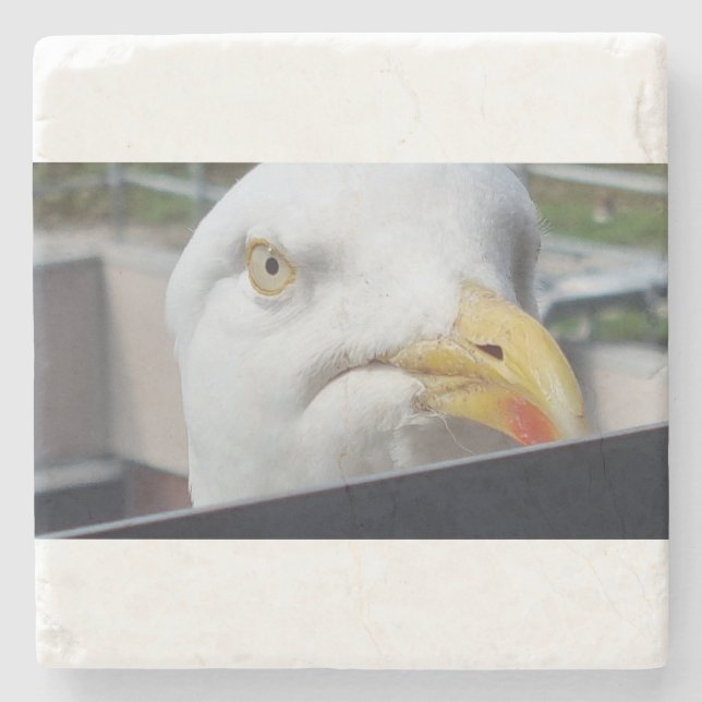 Möwe Blickend Steinuntersetzer (Vorderseite)