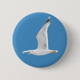 Möwe Button