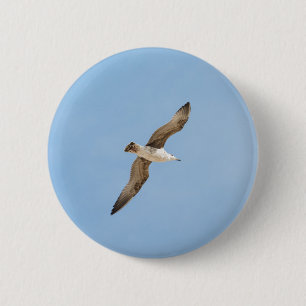 Möwe Button