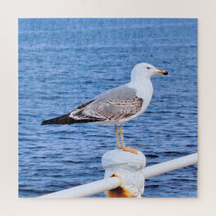 Möwe Constanta Rumänien – Schwarzmeer-Fotografie Puzzle
