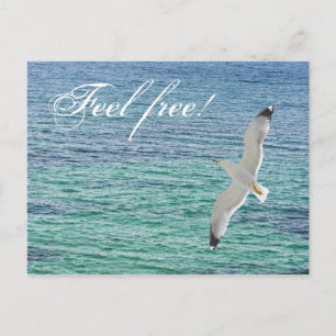 Möwe fliegt über das Meer Postkarte