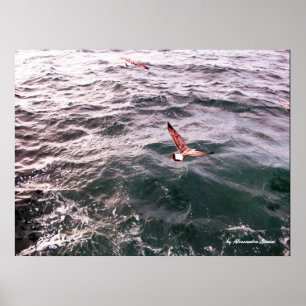 MÖWE FLYING ÜBER DIE WELLEN POSTER