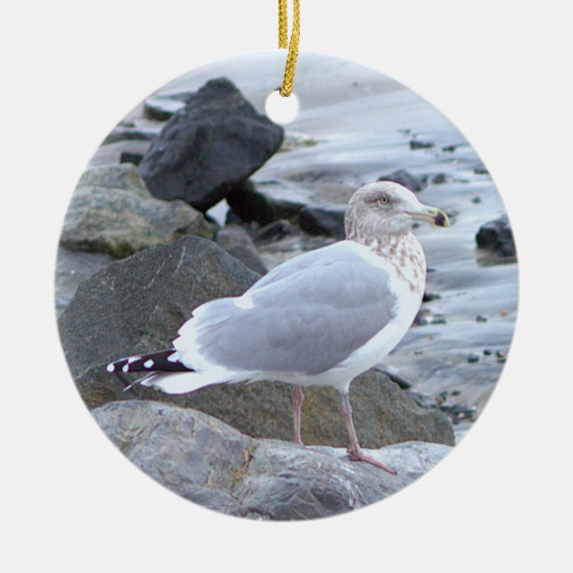 Möwe Foto Ornament  (Vorne)