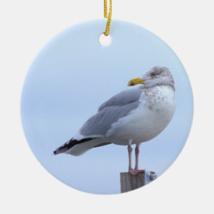 Möwe Foto Ornament