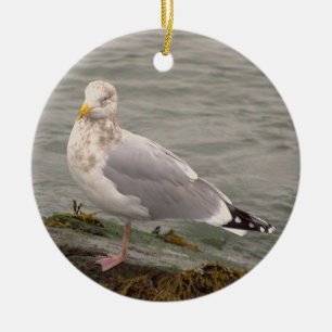 Möwe Foto Ornament