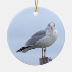Möwe Foto Ornament