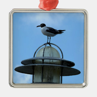 Möwe Foto Ornament Aus Metall