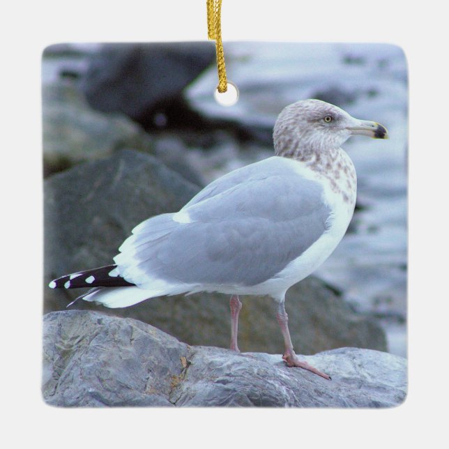 Möwe Foto-Ornament  Keramikornament (Vorderseite)