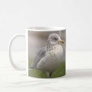 Möwe Foto Tasse