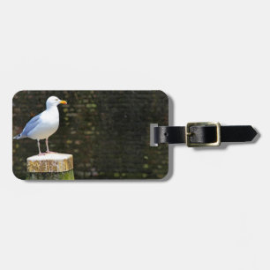 Möwe Gepäckanhänger