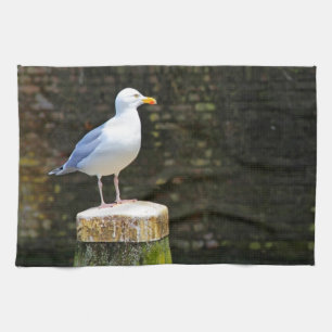Möwe Geschirrtuch