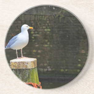 Möwe Getränkeuntersetzer