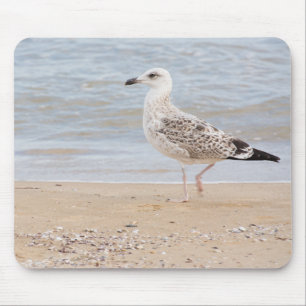 Möwe Mousepad