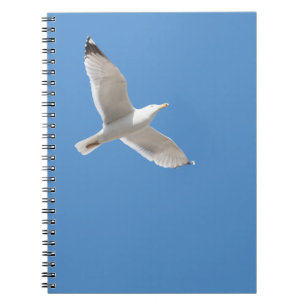 Möwe Notizblock