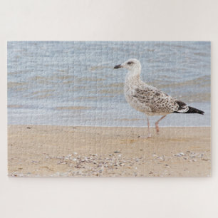 Möwe Puzzle