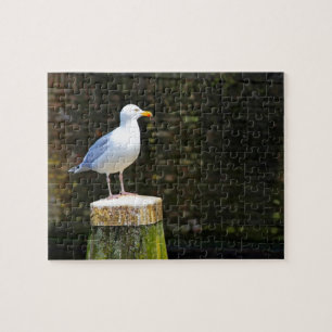 Möwe Puzzle