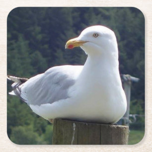 Möwe ruhend auf Zaunpfosten Niedliche Küsten-Wildt Rechteckiger Pappuntersetzer