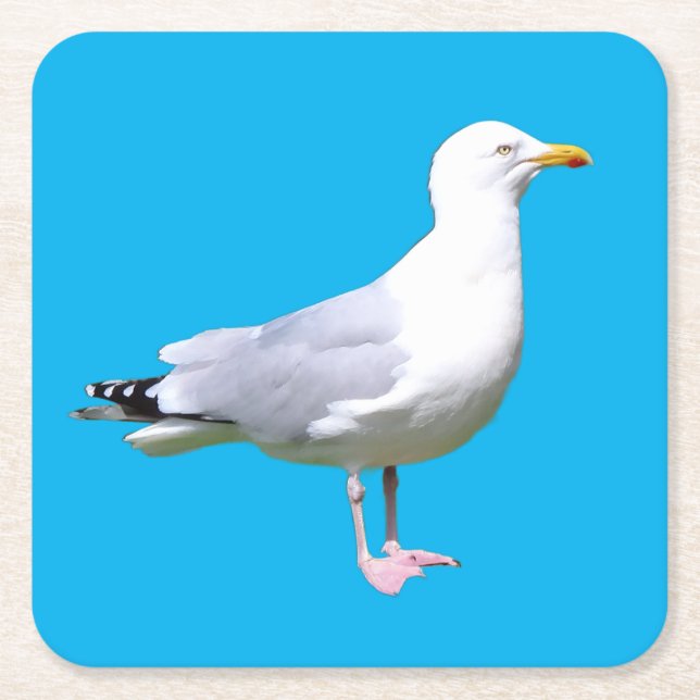 Möwe Stehend Minimal Himmelblauer Hintergrund Küst Rechteckiger Pappuntersetzer (Vorderseite)