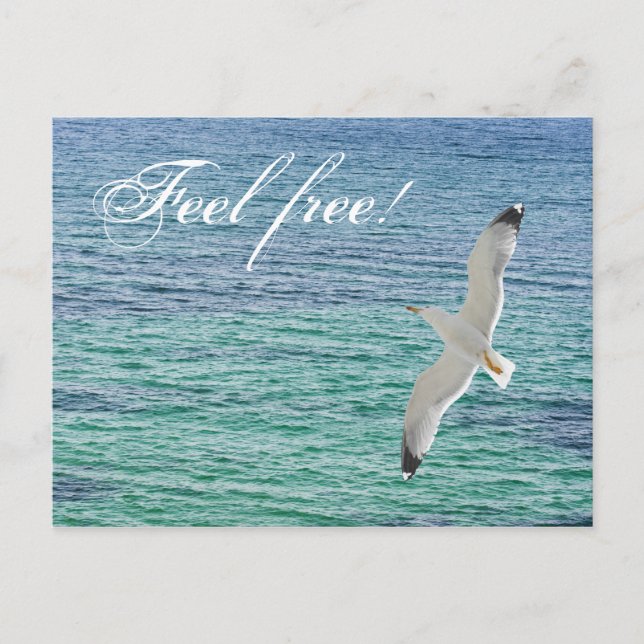 Möwe über dem Meer Postkarte (Vorderseite)