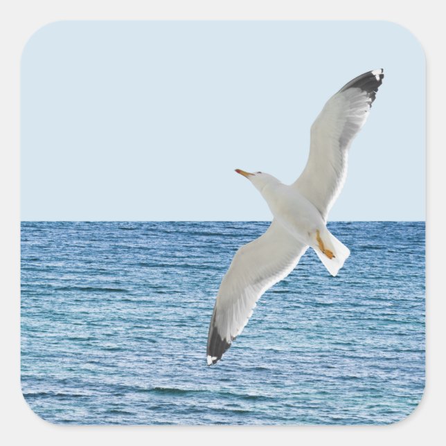 Möwe über dem Meer Quadratischer Aufkleber (Vorderseite)
