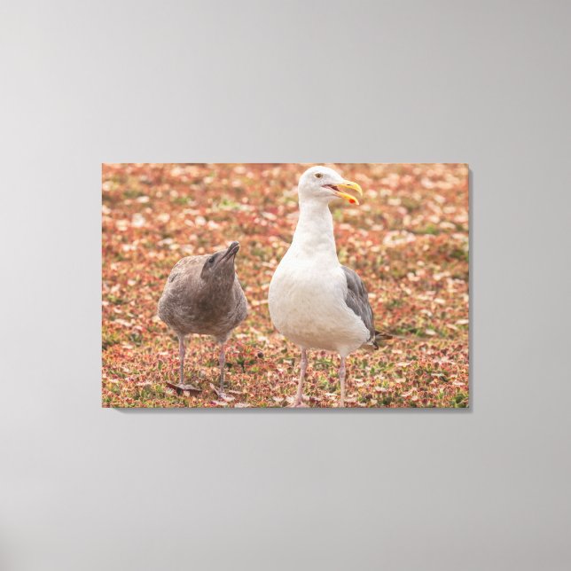 Möwe und Küken Leinwanddruck (Vorderseite)