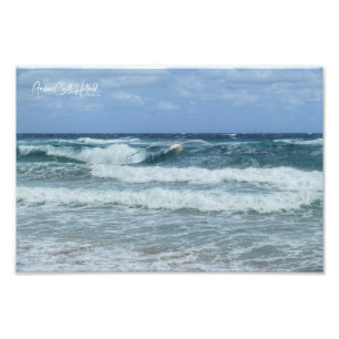 Möwe und Meer Fotodruck