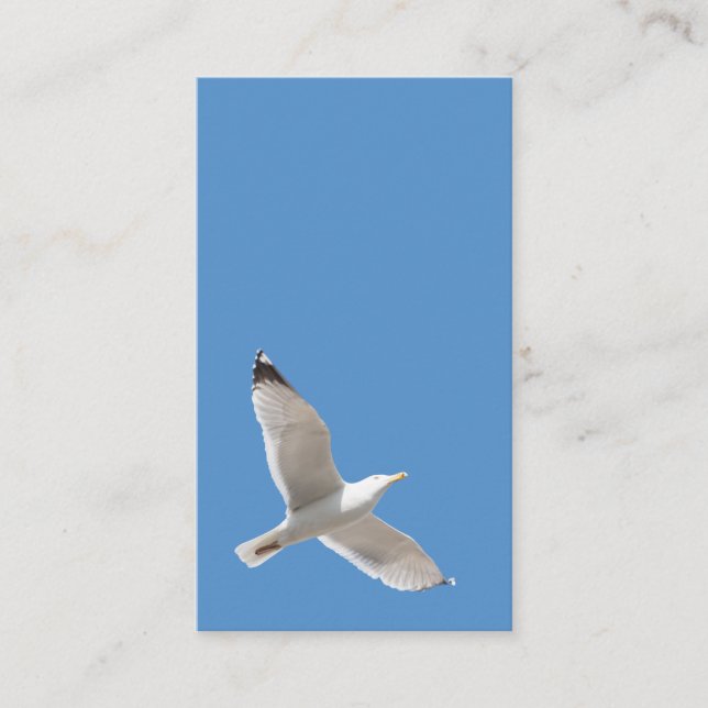 Möwe Visitenkarte (Vorderseite)