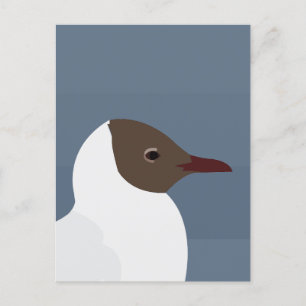 Möwe Vogel Gull Seagull Postkarte