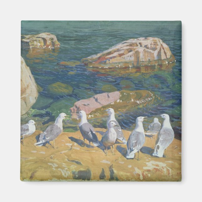 Möwen, 1910 magnet (Vorne)