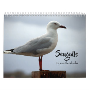 Möwen 2027 kalender