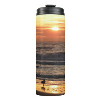 Möwen am Meer bei Sonnenuntergang