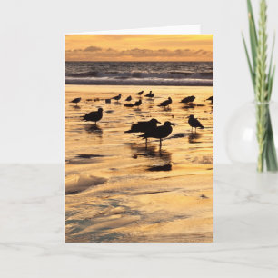 Möwen am Strand bei Sonnenuntergang Karte