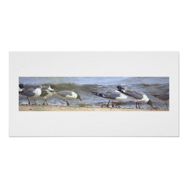 Möwen am Strand Poster (Vorderseite)