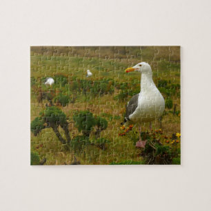 Möwen auf Anacapa Island Puzzle