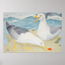 Möwen auf einer Klippe