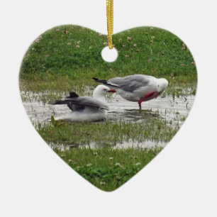 Möwen baden keramikornament